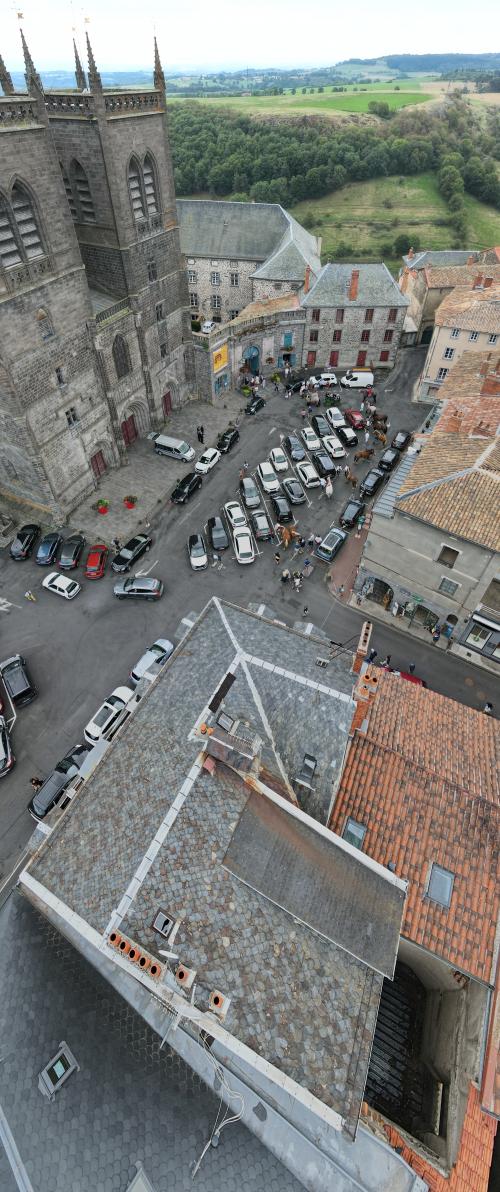 Saint-Flour Chevaux - 27-08-2022(0505).jpg